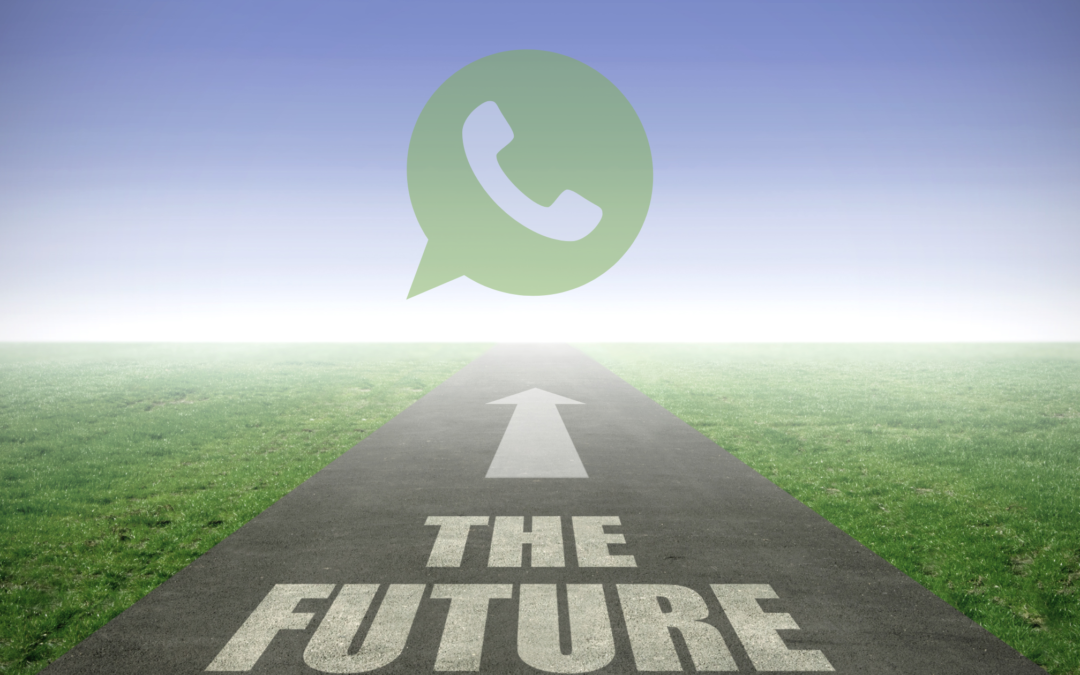 Why Eneza WhatsApp Status Ads Are the Future of Brand Advertising