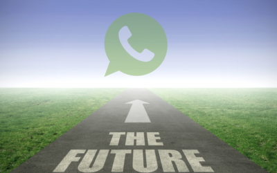 Why Eneza WhatsApp Status Ads Are the Future of Brand Advertising